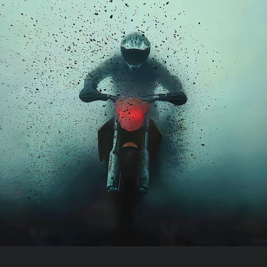 春树