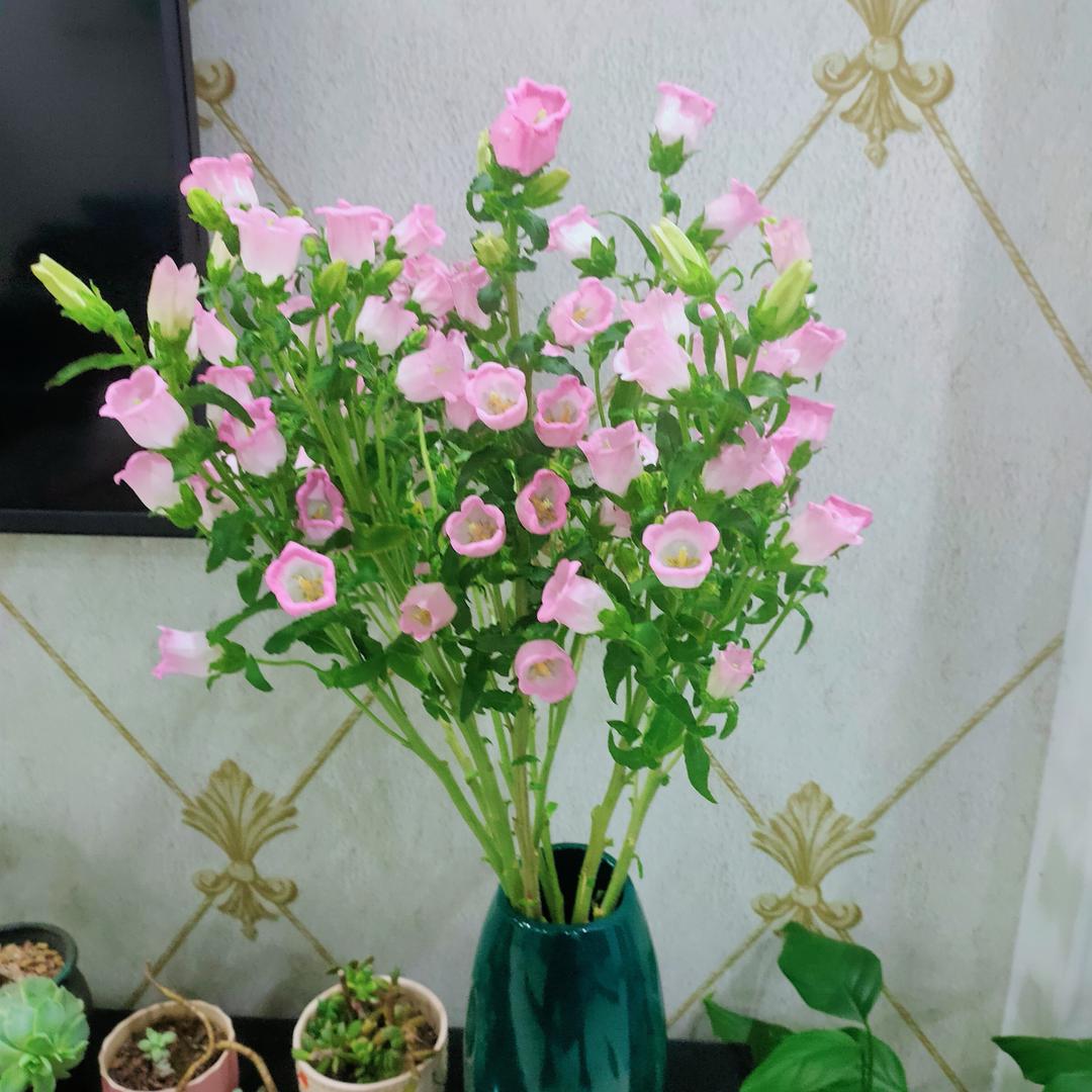 ℒℴѵℯ·芳·ꦿ໊ོ姐