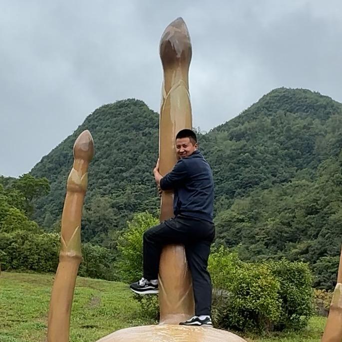 阿金（从零开始）
