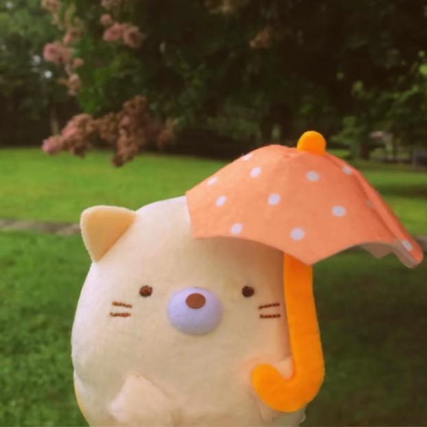 鱿鱼