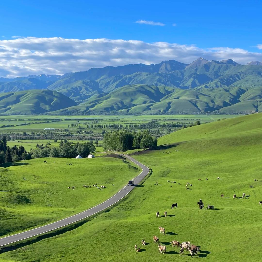 呼市小初高体育升学