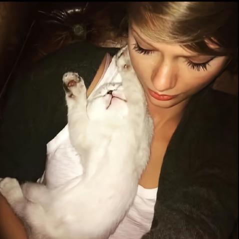 今天不要弹弹弹