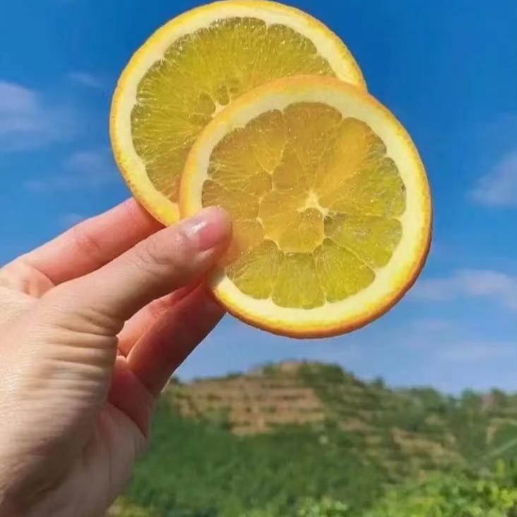 赣南脐橙（新农人版）