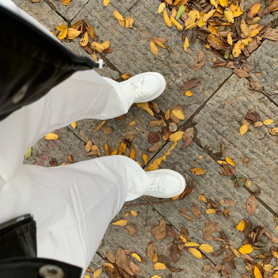 璟丞（努力版）