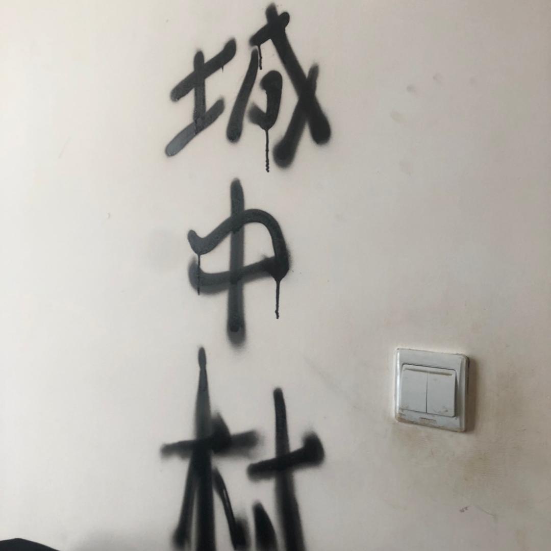 白菜/（Freestyle王）