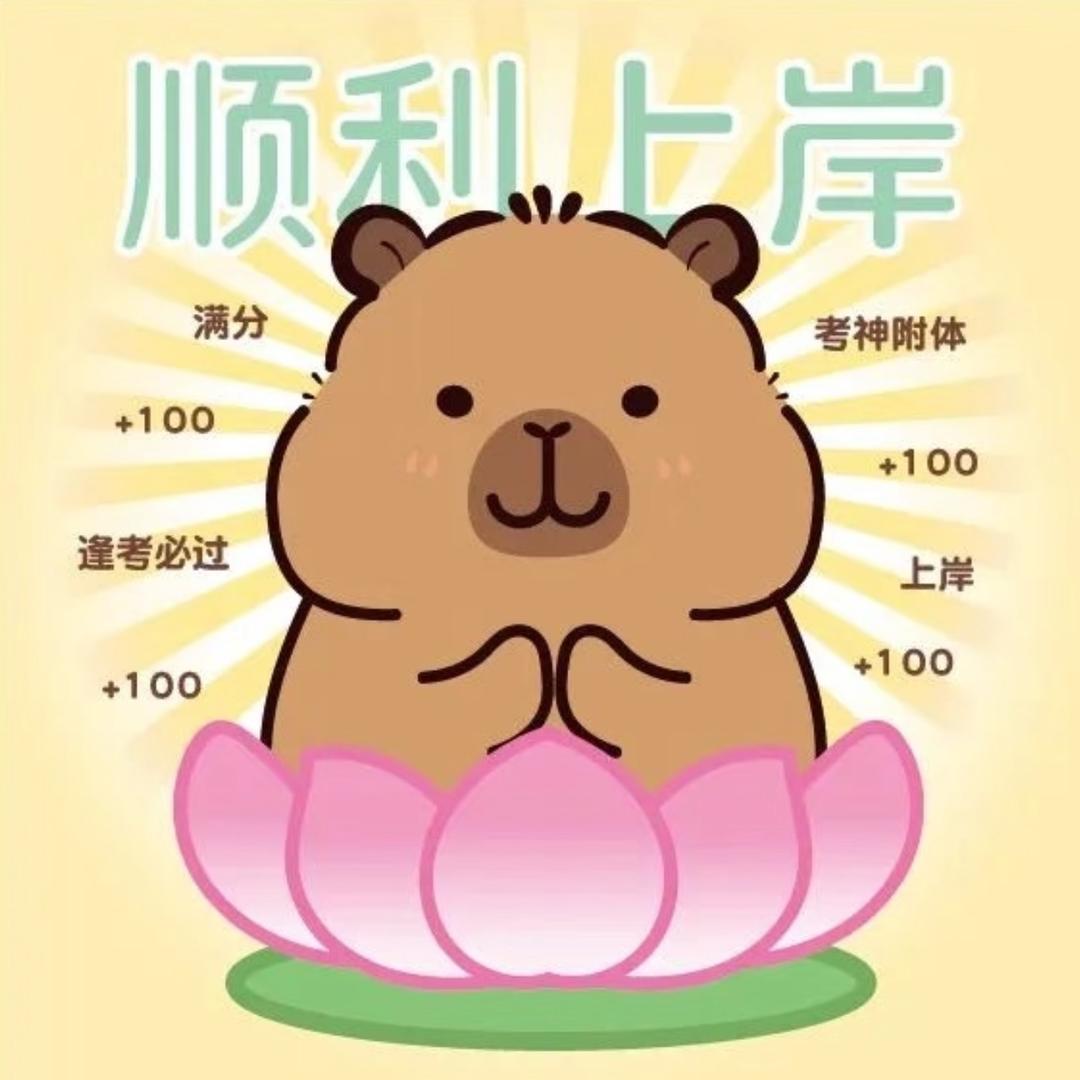公考锦鲤站