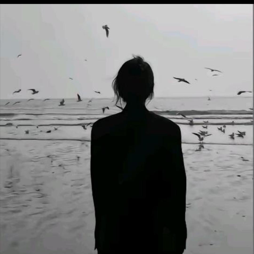 Fly"