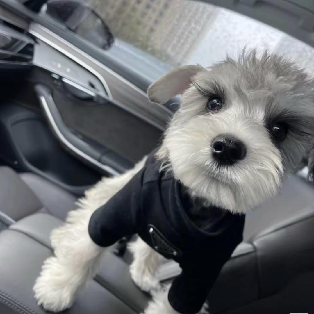 脚滑的农村入514