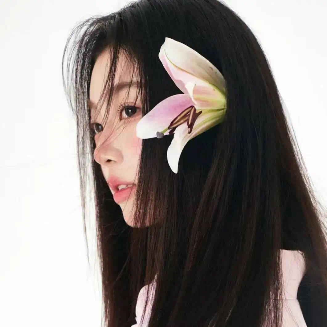 仙女不讲李