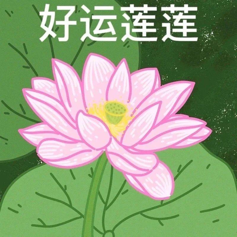 沈沈沈🐘🐑
