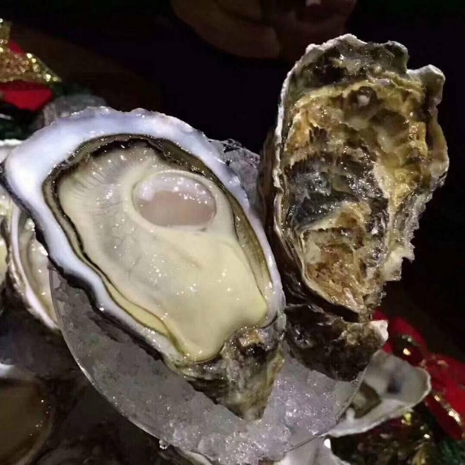 产地生蚝大量批发🇨🇳🇨🇳