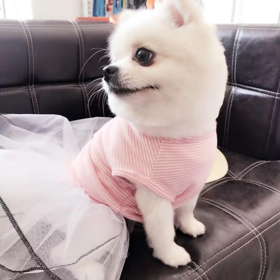 饽饽不是馍