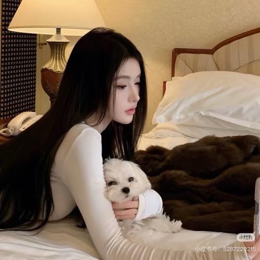 糕糕🐑