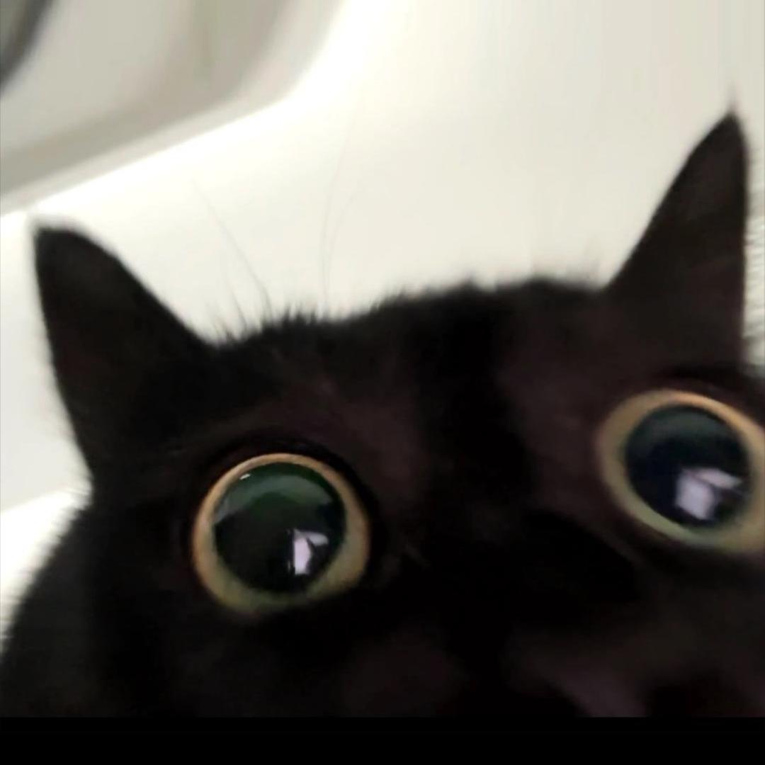 记得给我说晚安