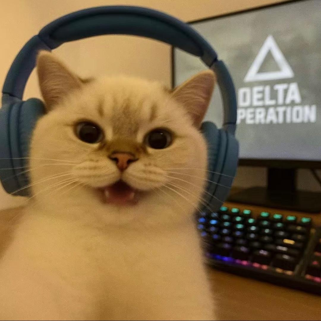 稻城（三角洲行动）