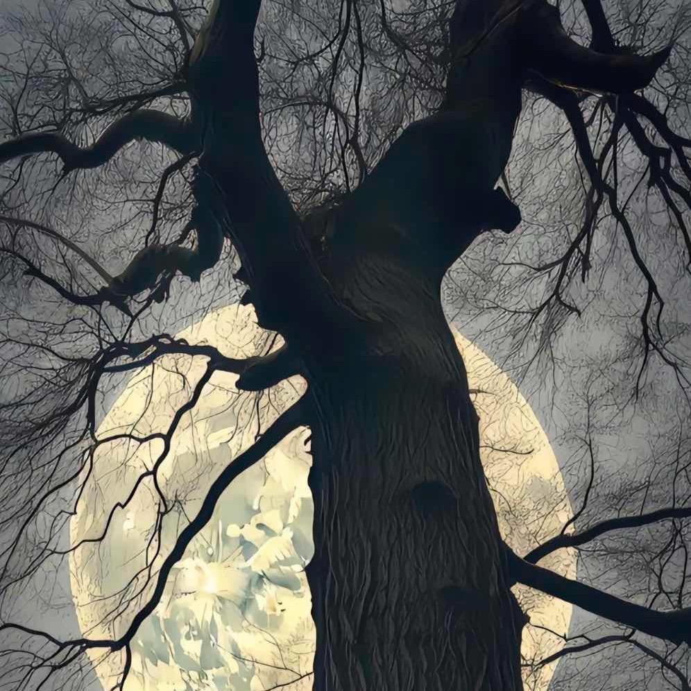 Pretend°（假装）