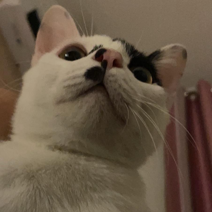 行月影（暗区突围）