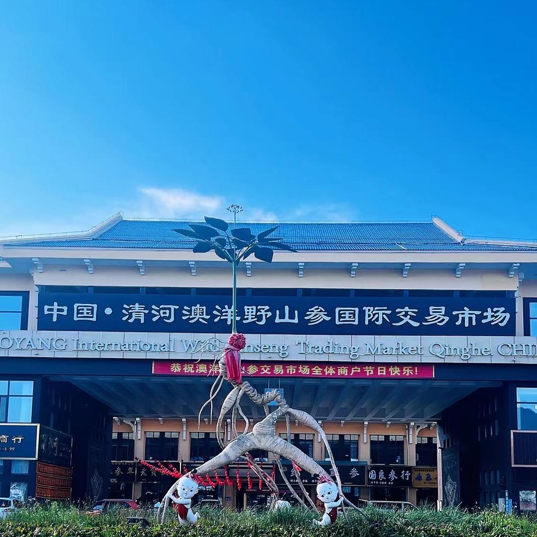 参茸优选之家林下参批发