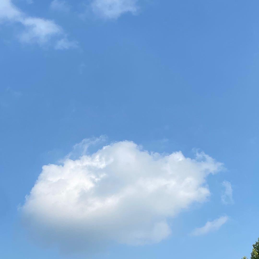 言無许
