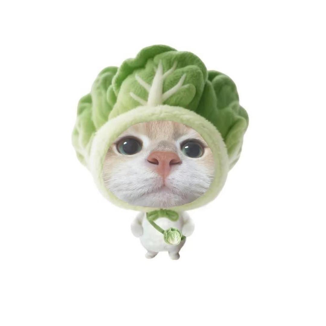@鱼糯糯
