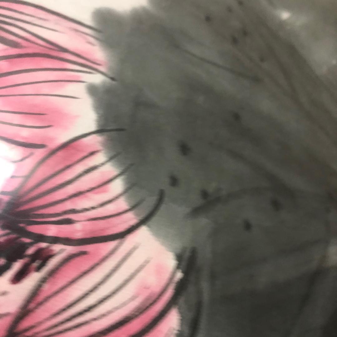 木易《好物分享》