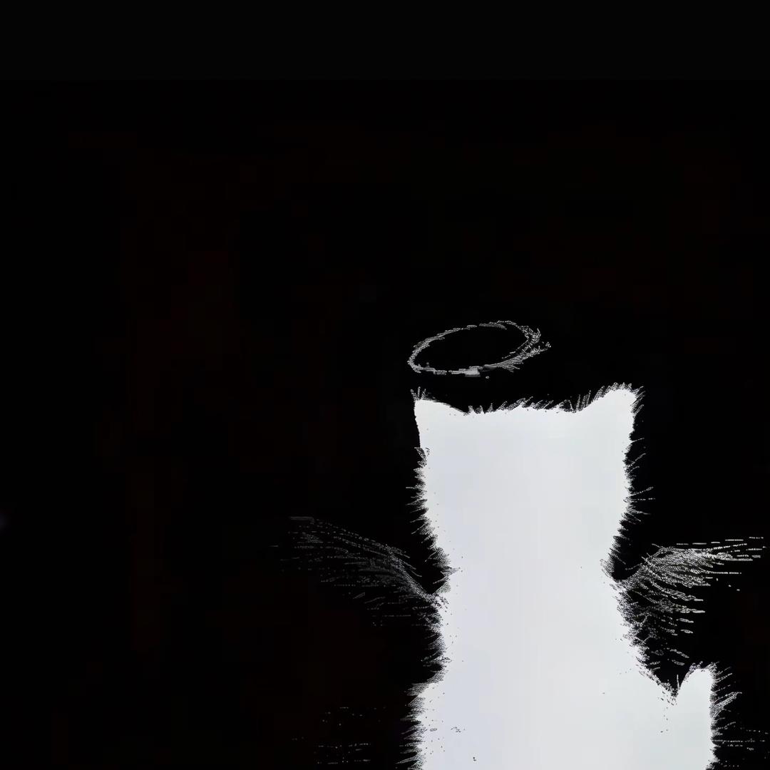 JJ