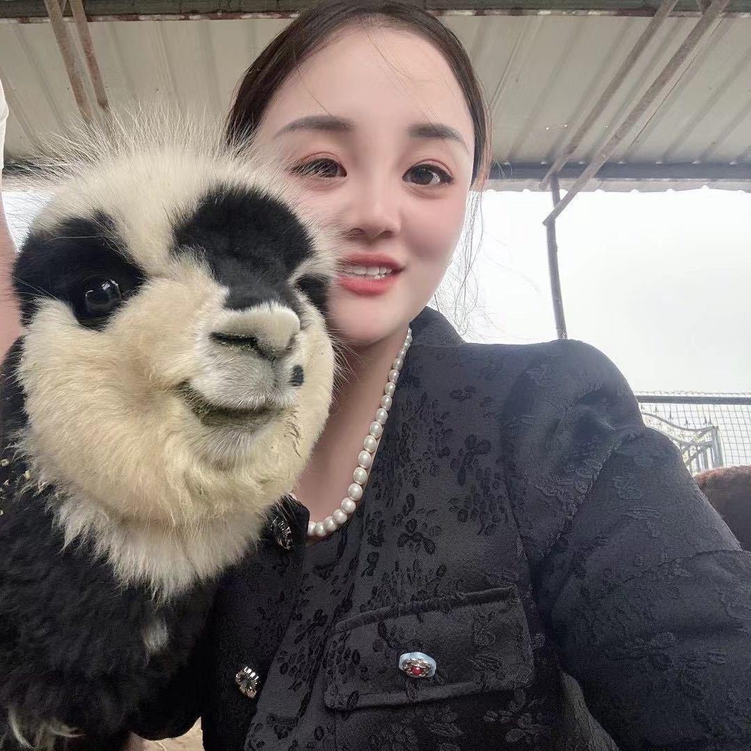 萌宠界的马沙沙