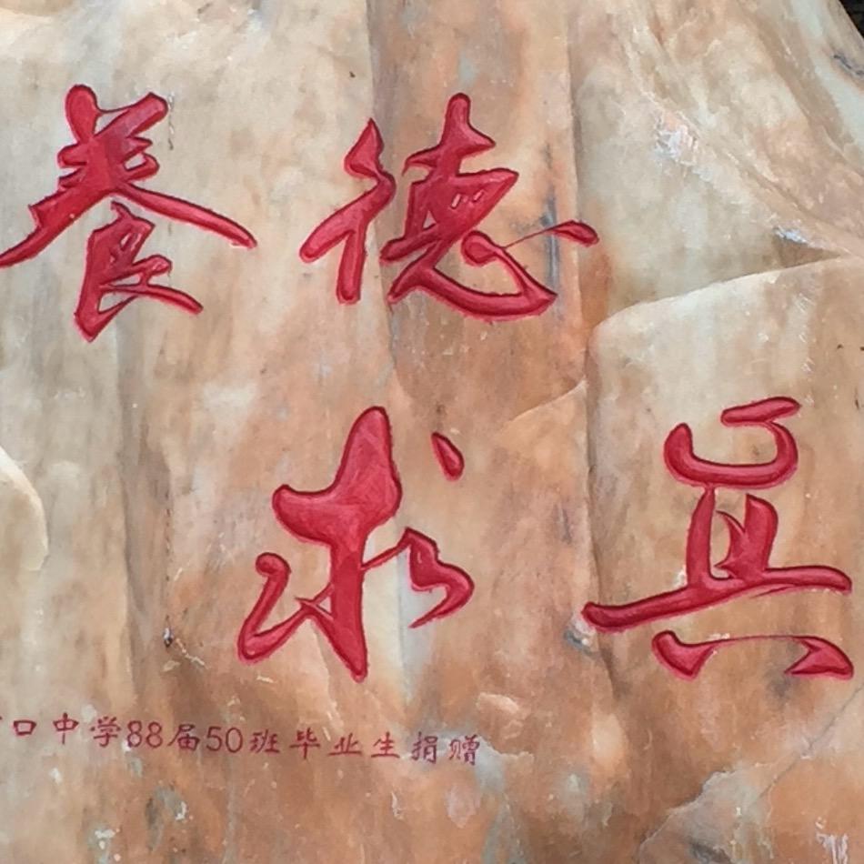 求真求真
