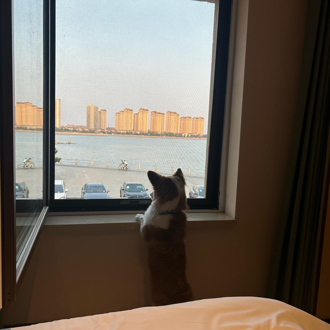 要变成武僧高手