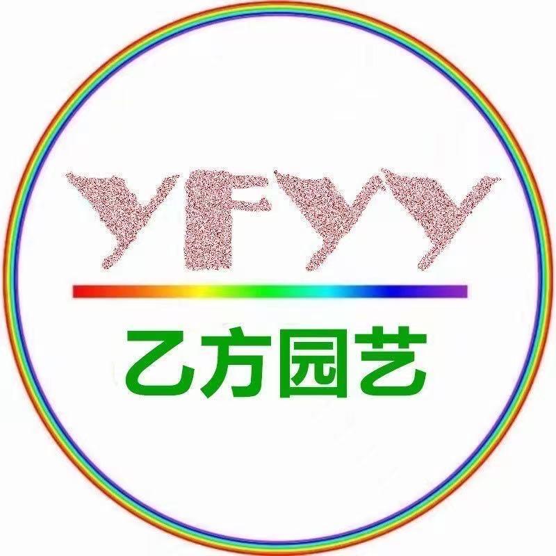 乙方园艺绣球花4号店