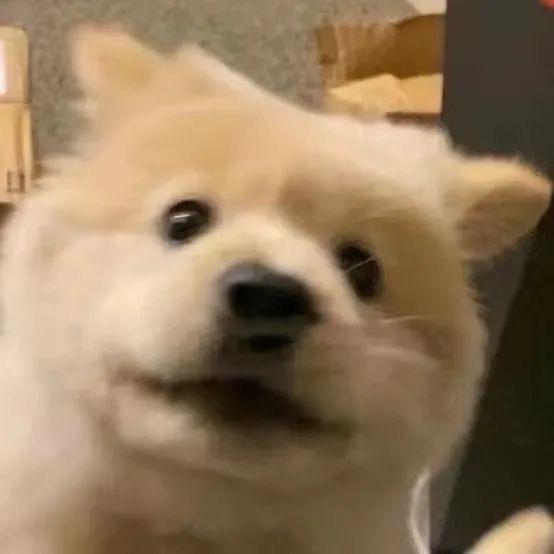 @东南