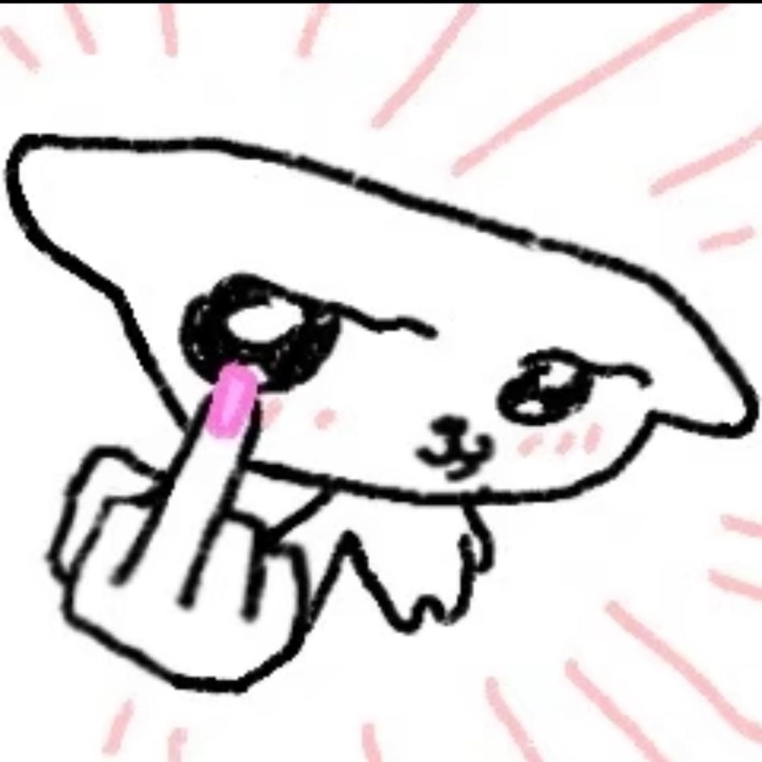 有猫饼
