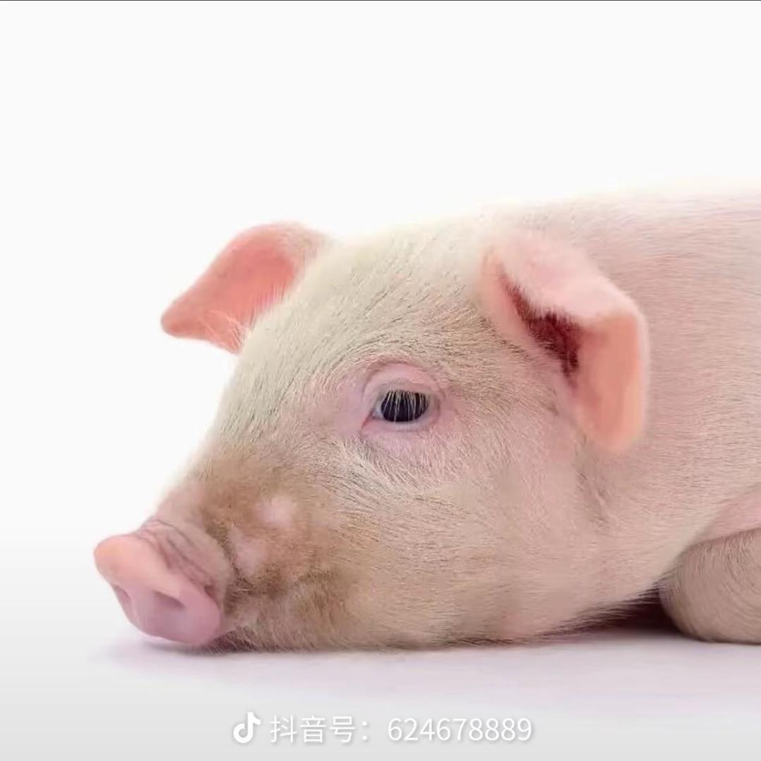悲伤小浴缸💤