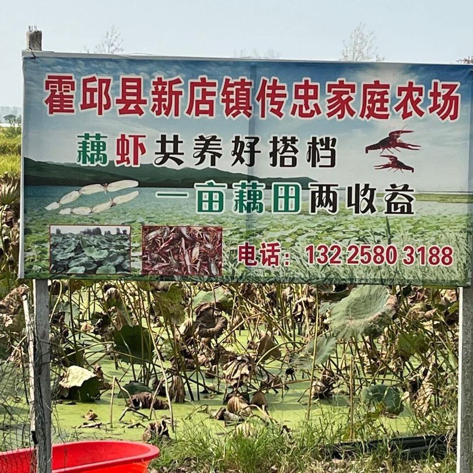 郑传忠