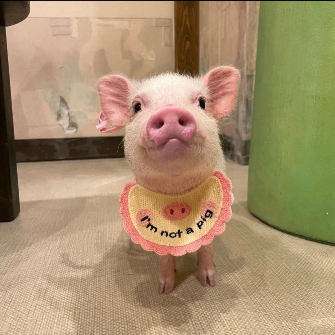 俺滴小鱼干呢≧