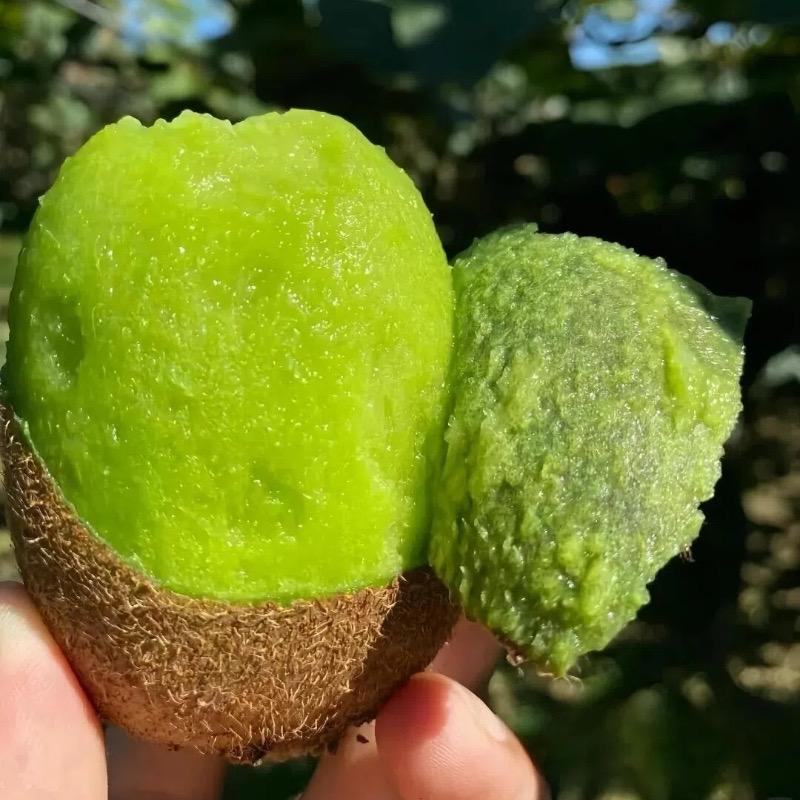 农夫生鲜鲜
