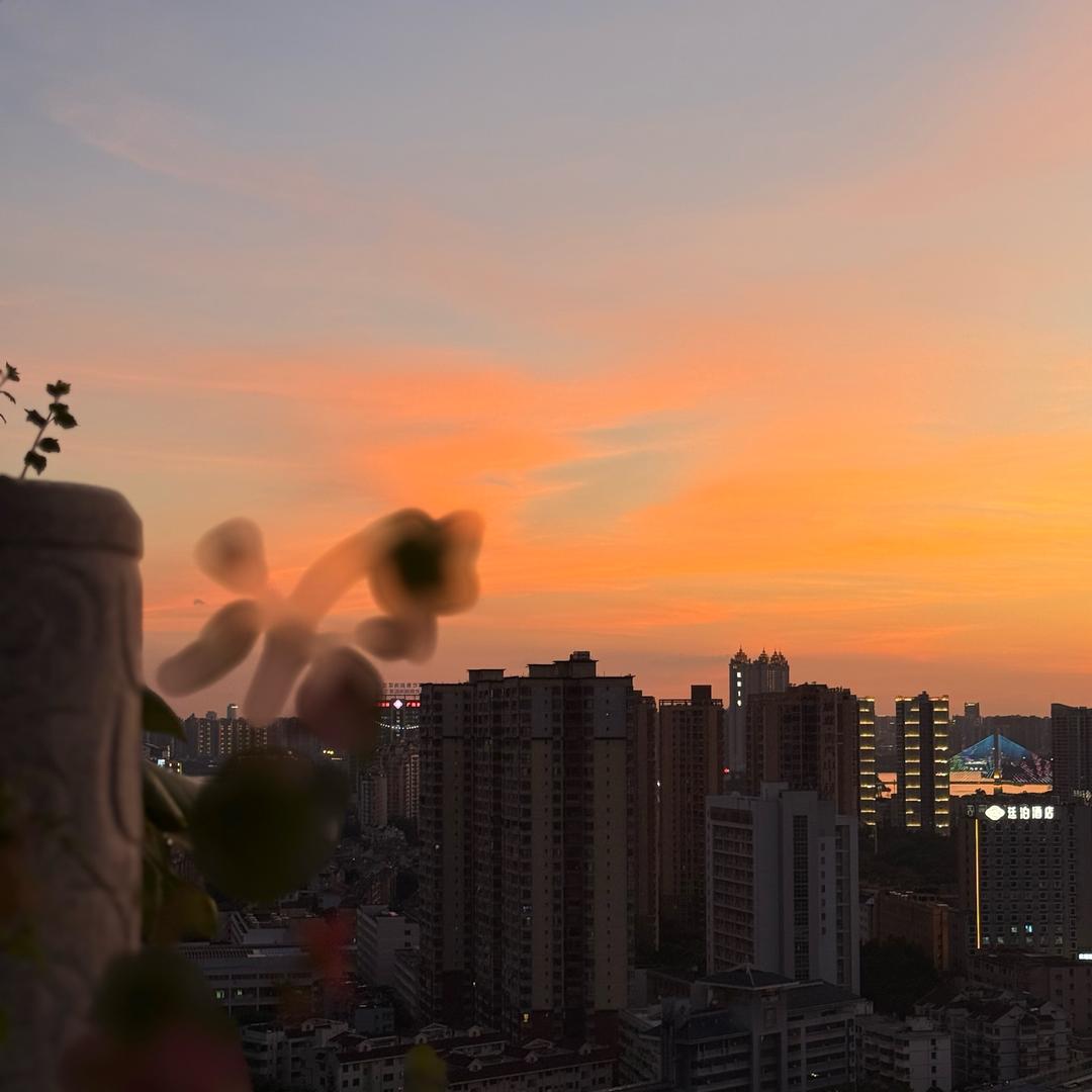 天天好物