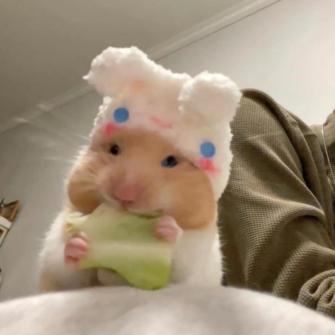 我是一个没有感情的杀手