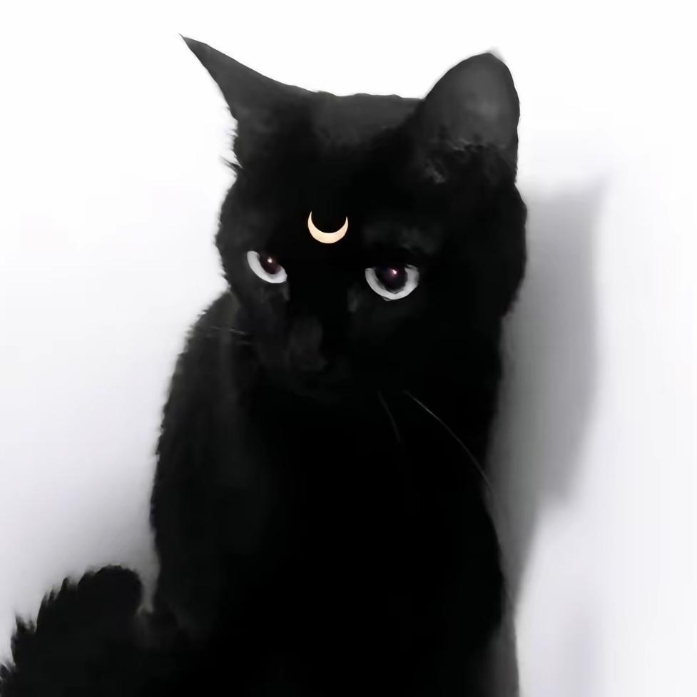 若 淞 昭🌙