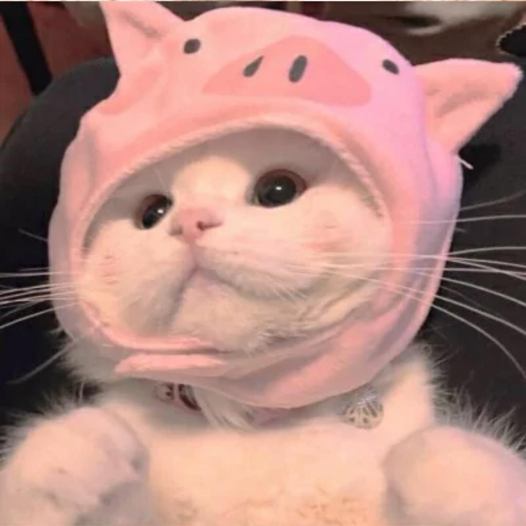 甜甜·