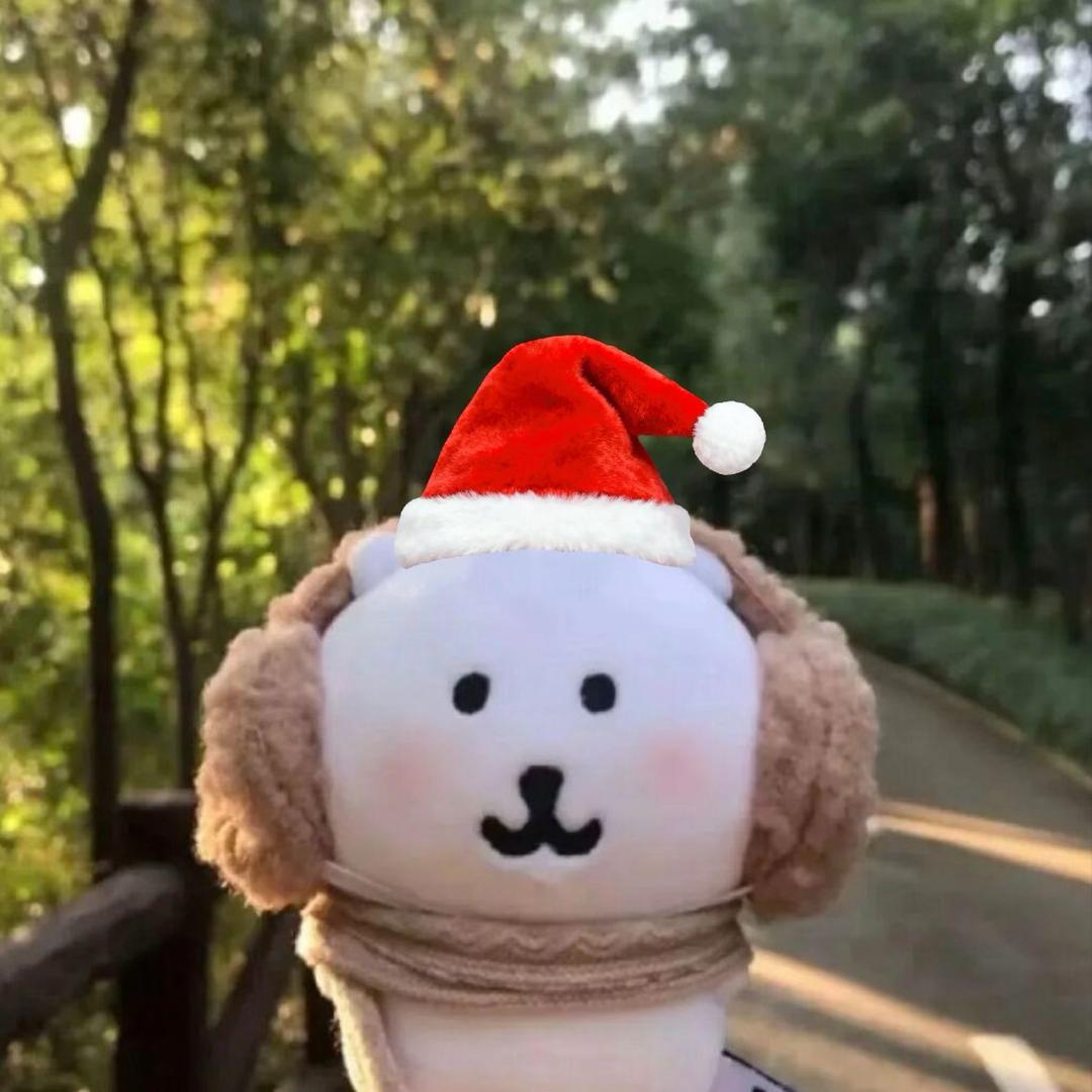 毛驴驮我上北京