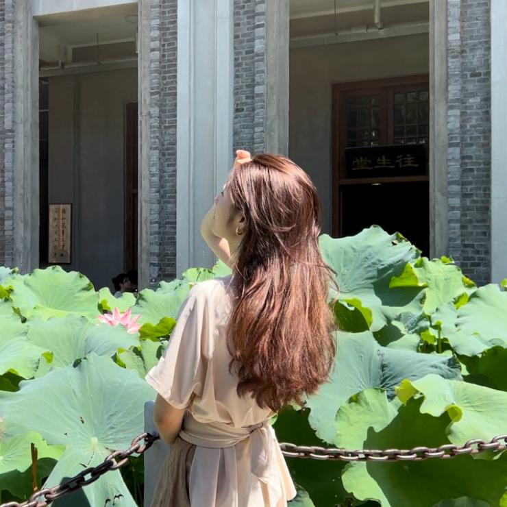 白橘猫企业管理