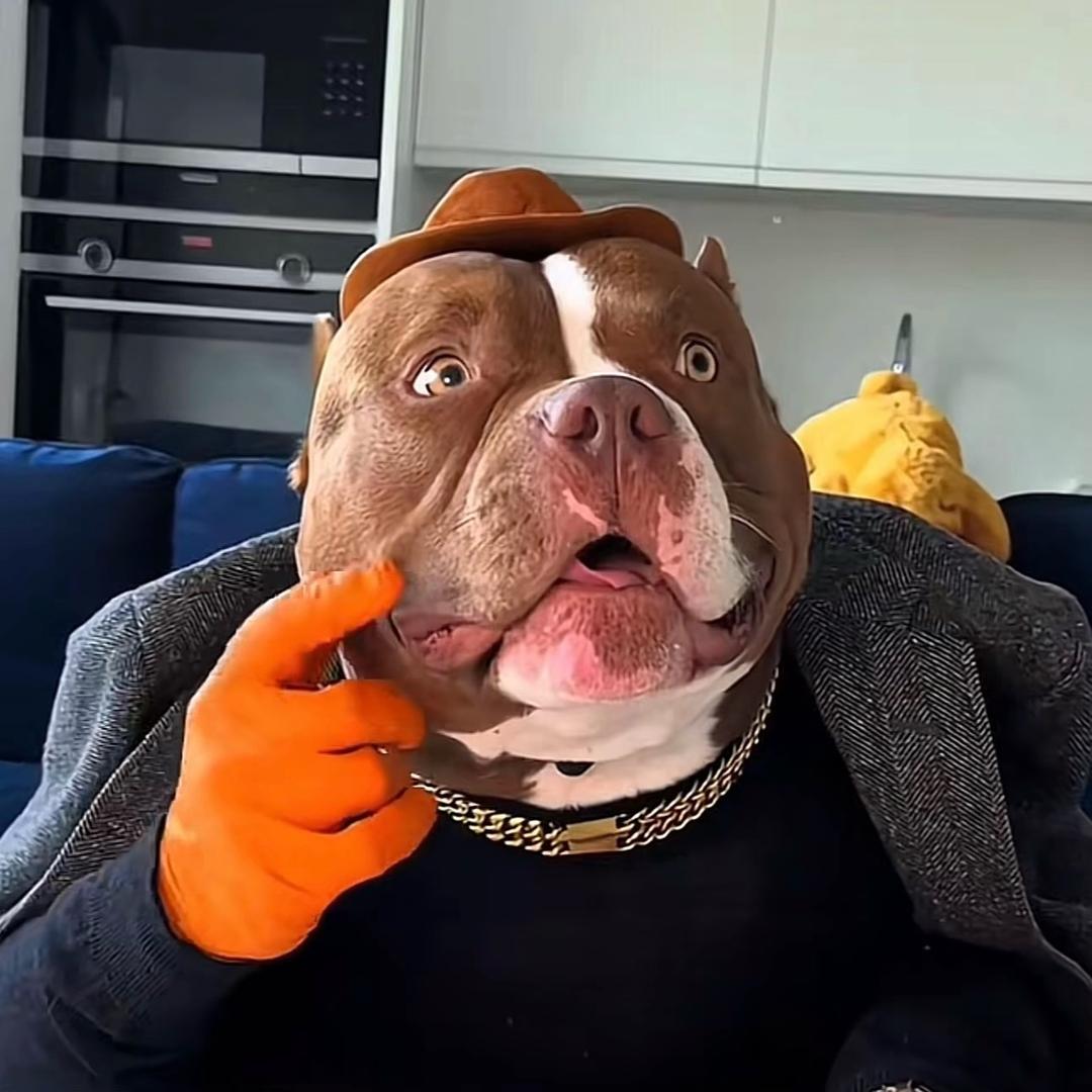 尕松（记录摆摊日常）