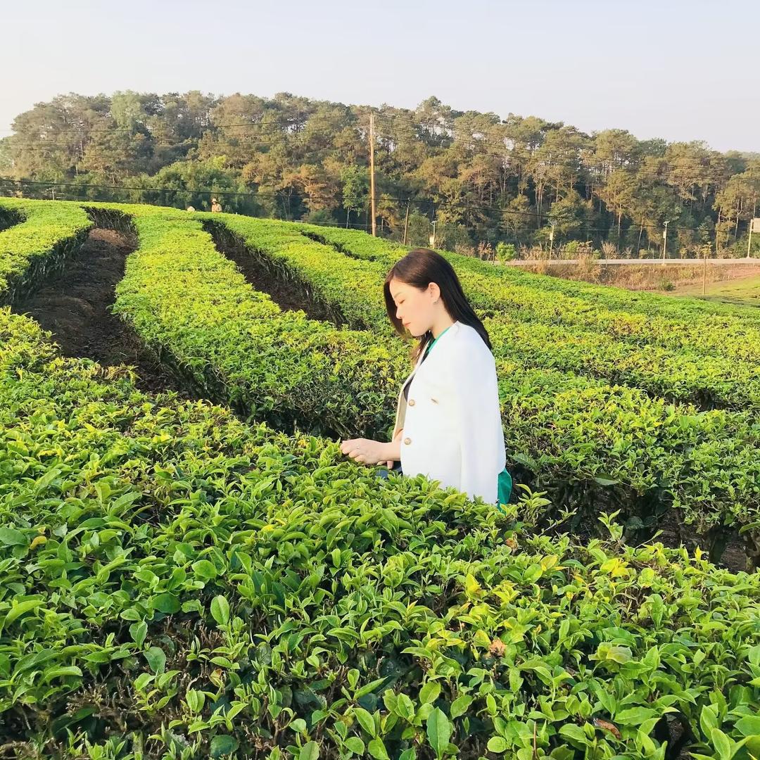 y彩虹姐姐的日常