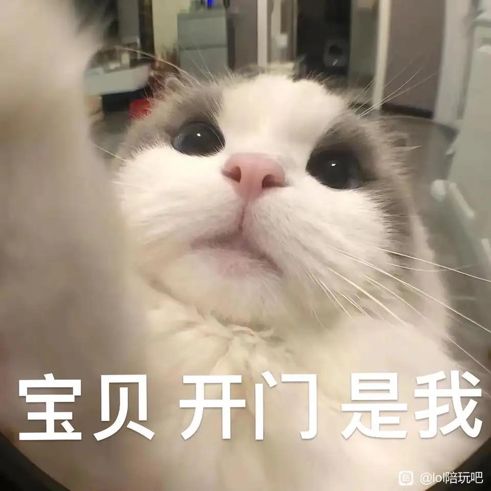 召唤师23369