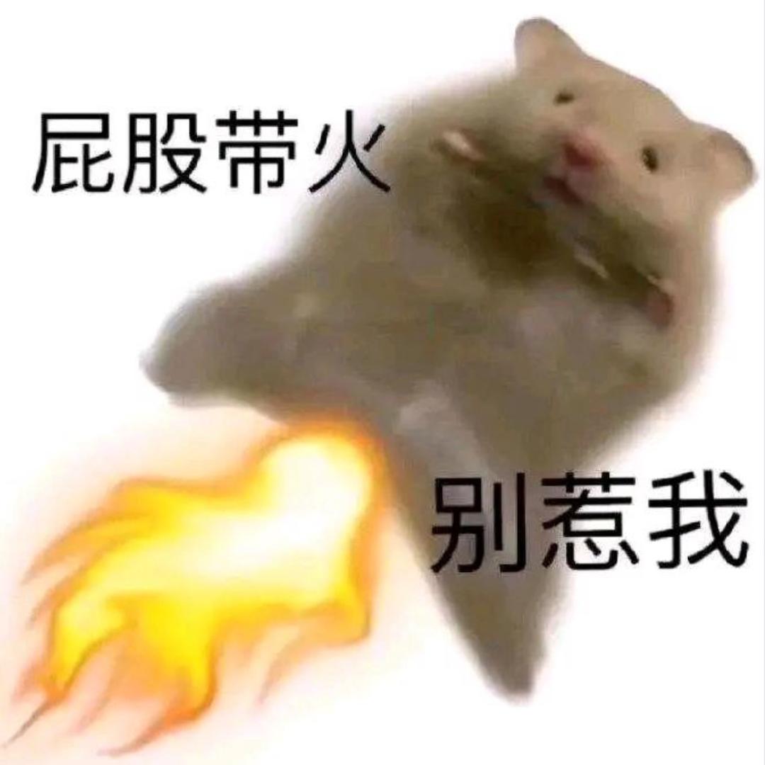 窜天鼠(only climb)