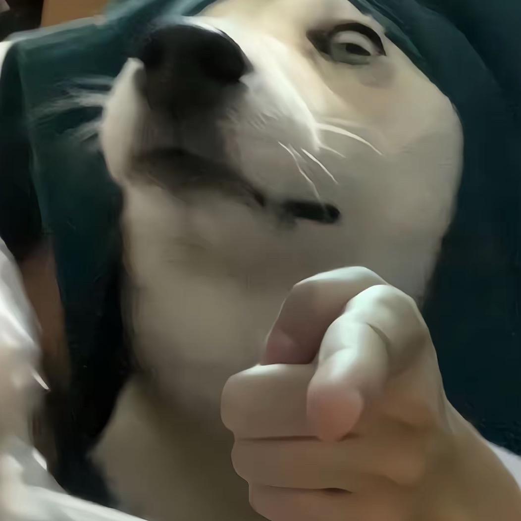 独木桥