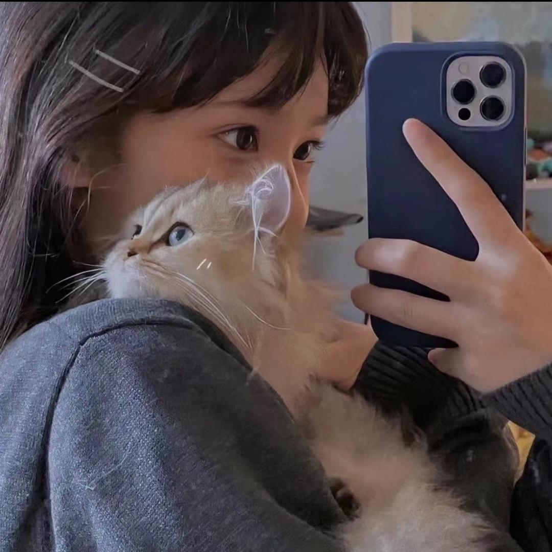 糖果果果