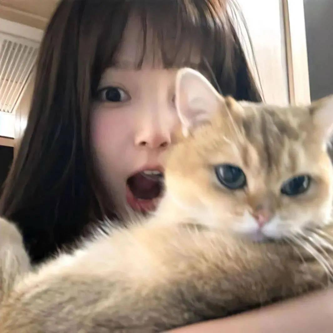 不麻辣烫