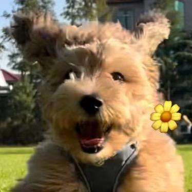 花生今天不上班💼